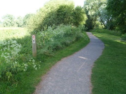 Image on trail